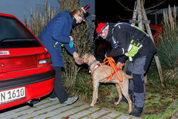 Mantrailing Weihnachts Training 15 12 2025 61