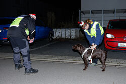 Mantrailing Weihnachts Training 15 12 2025 65