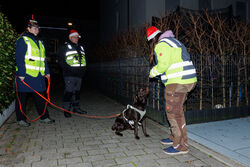 Mantrailing Weihnachts Training 15 12 2025 70
