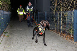 Mantrailing Weihnachts Training 15 12 2025 78