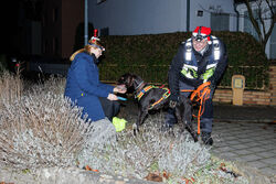 Mantrailing Weihnachts Training 15 12 2025 82